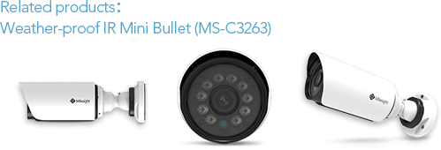 weather-proof IR mini bullet camera, bullet camera, mini bullet camera