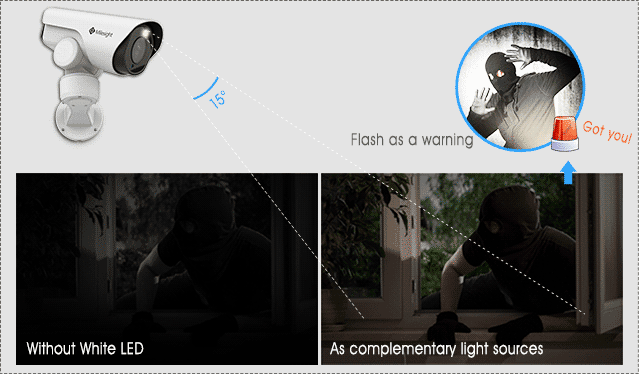 ptz bullet catch a thief with motion detection function