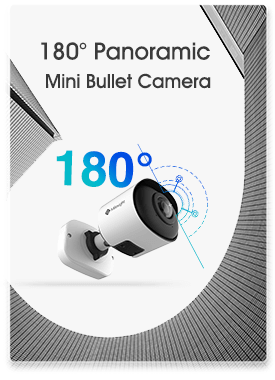 milesight fisheye camera